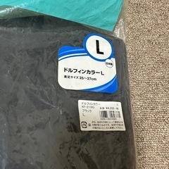 AQA フィン Lの画像