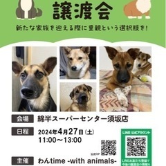 綿半で譲渡会開催！2024.4