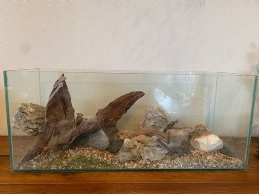 60㎝スリム水槽