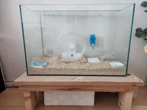 ハムスター飼育セット【値引き○】