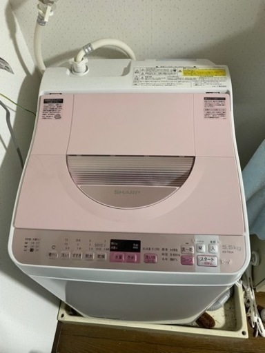 家電 生活家電 洗濯機