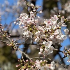 活動日：4月6日(土) 18回目