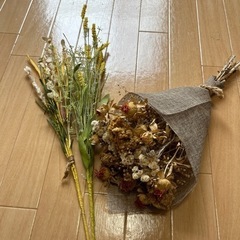 観葉植物の画像