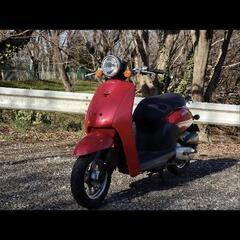 美車！　高燃費！　ホンダ　トゥデイ　af61　today　原付　...