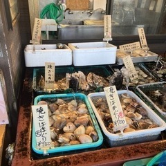 5月4日5日　GW江の島飲み仲間募集