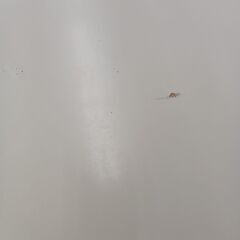 ★ジモティ割あり★ 学習机 ホワイト H76×D60×W121 クリーニング済み TC649 ☆ジモティ割あり☆ デスク ホワイト H72×D65×W135 クリーニング