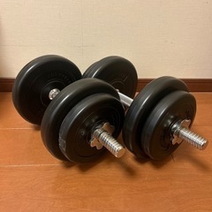 スポーツ フィットネス、トレーニング