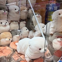 おもちゃ おもちゃ ぬいぐるみの画像