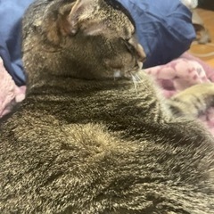 既婚、メンタル、近場の友人探し