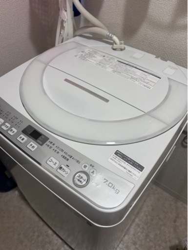 家電 生活家電 洗濯機