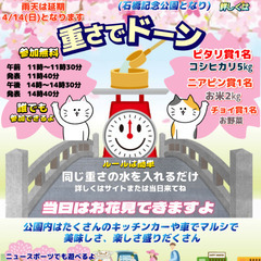 桜 祇園之洲公園 重さでドーン