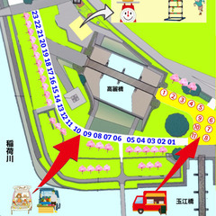 桜 祇園之洲公園 重さでドーン - 鹿児島市
