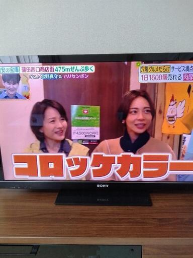 家電 テレビ 液晶テレビ