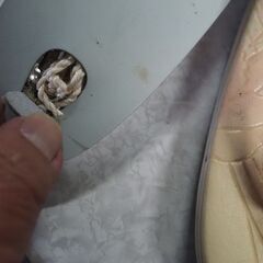 草履，七五三、履物、２速セット、２２センチの画像