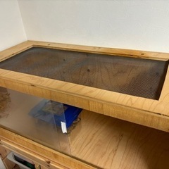 爬虫類ケージの画像