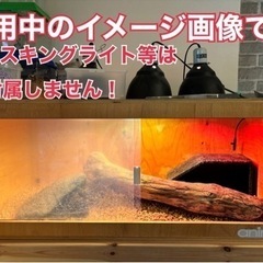 爬虫類ケージの画像