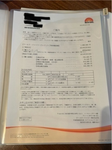 【再値下】DWE ディズニー　ワールド　ファミリー　英語　最上位セット　フルセット　幼児英語　配送可　状態良好