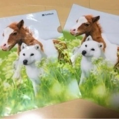 クリアファイル5枚の画像