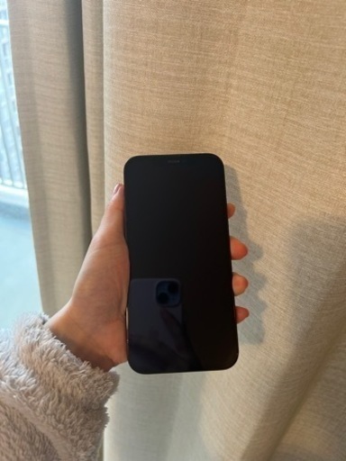 iPhone12pro，256G，SIMフリー、SIMカード2枚対応機種、53000円