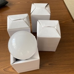 L ED電球