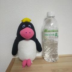 ペンギン 東京スカイツリー ぬいぐるみの画像