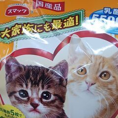 猫ちゃんの餌の画像