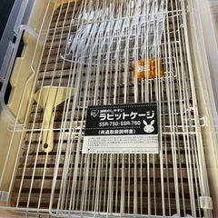 ラビットゲージ