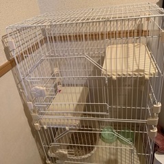 キャットケージ 