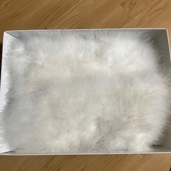 ファーストールの画像