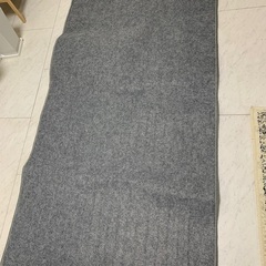 新品　アイリスオーヤマ  ホットカーペット
