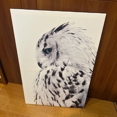 フクロウの絵