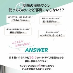 ボディシェイカーピコの画像