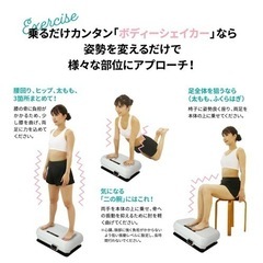 ボディシェイカーピコの画像