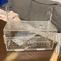 熱帯魚、水槽
