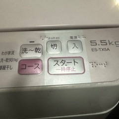家電 生活家電 洗濯機の画像