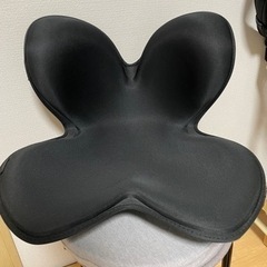 Body Make Seat Style ボディメイクシート スタイル　MTG 骨盤矯正　姿勢矯正の画像