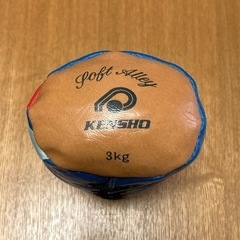 ソフトアレイ 3kg 1個 KENSHO　※安全ダンベルの画像
