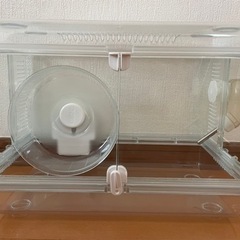 ハムスター　ガラスケージの画像