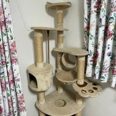 スポーツ フィットネス、トレーニング
