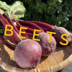 採れたて泥＆葉っぱ付きビーツ