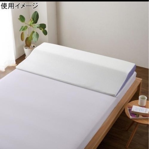 美品　ダブル　安眠枕　トゥルースリーパー　カバー付き　やわらかめ　低反発　まくら　ダブル
