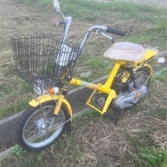 ロードパル　　の画像
