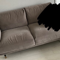 ロウヤ 2人がけソファの画像