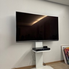 家電 テレビ 液晶テレビ