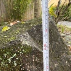 近江八幡市より、庭石、サイズ約70 70 55の画像