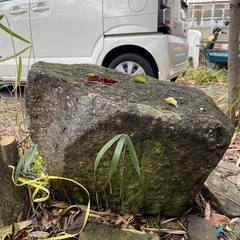 近江八幡市より、庭石、サイズ約70 70 55