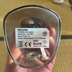 PECHAM ジェットウォッシャーの画像