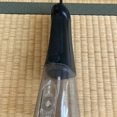 PECHAM ジェットウォッシャーの画像