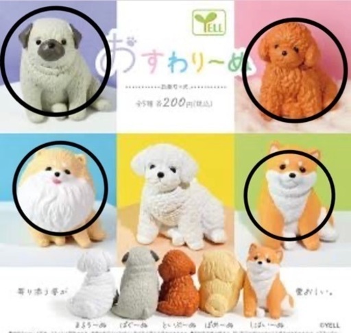 おすわりーぬ　4種　未開封