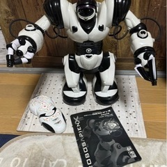 ロボサピアンX